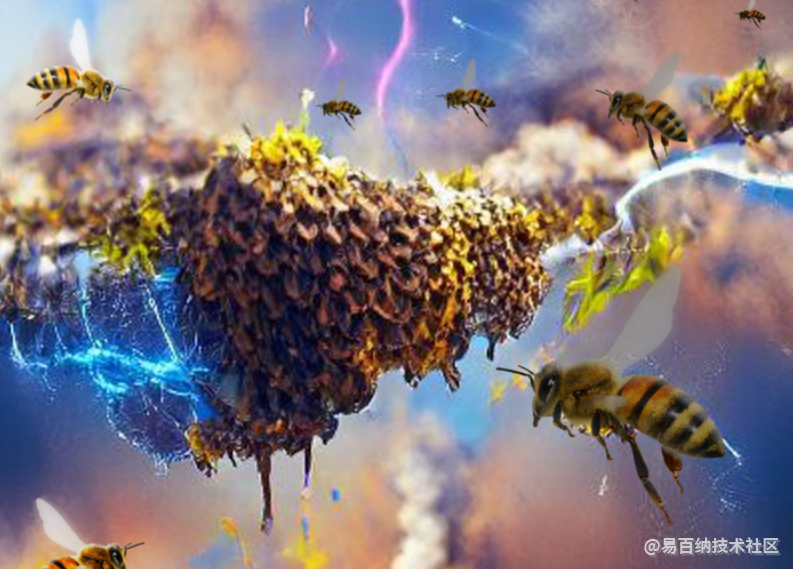 一群蜜蜂所携带的电荷可以与风暴云相同？-一群蜜蜂有几种分工