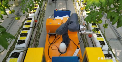 机器人系统，该系统利用团队合作来采摘水果并自主运输